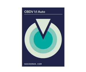 CBDV 1:1 Auto  Seedsman Nasiona marihuany 