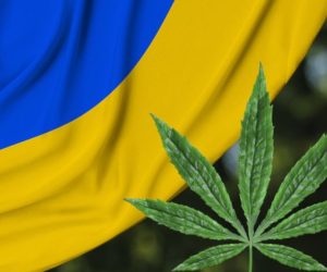 Legalizacja medycznej marihuany na Ukrainie