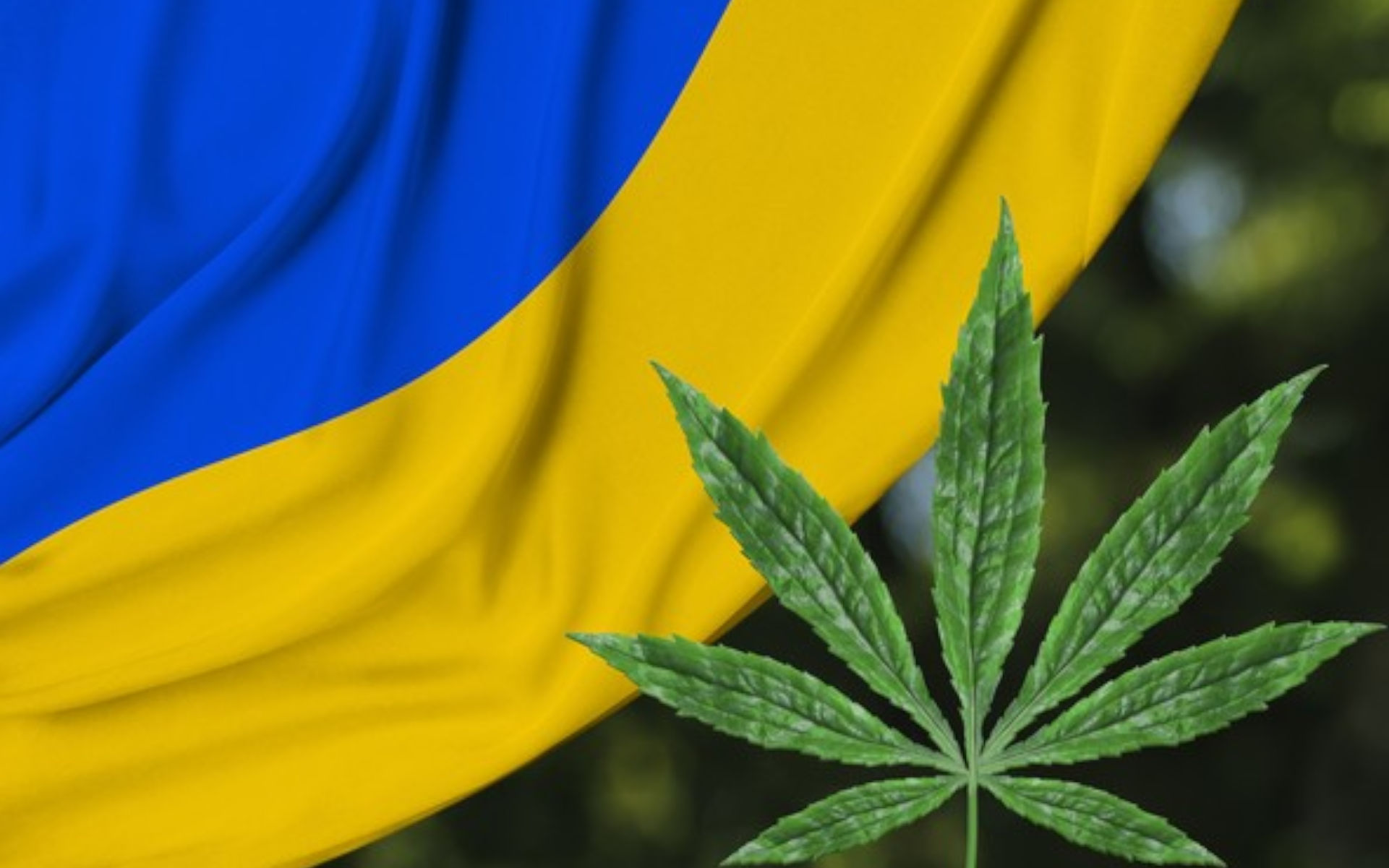 Legalizacja medycznej marihuany na Ukrainie