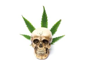 Czy okazjonalne używanie marihuany jest szkodliwe?
