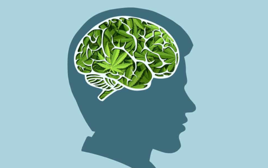 Mózg a palenie marihuany