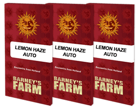 Barney's Farm Lemon Haze Auto