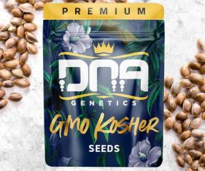 DNA Genetics GMO Kosher