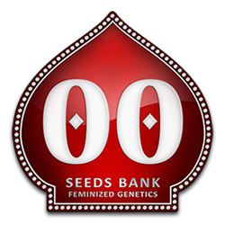 00 Seeds Bank Nasiona Marihuany