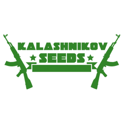 Kalashnikov Seeds Nasiona Marihuany