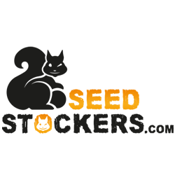 Seedstockers Nasiona Marihuany
