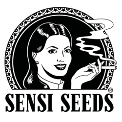 Sensi Seeds Nasiona Marihuany